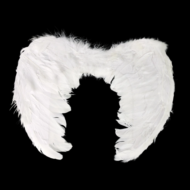 Angel Feathery Wings