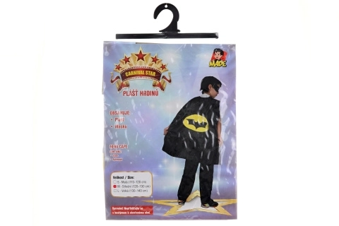 Carnival Hero Costume for Boys