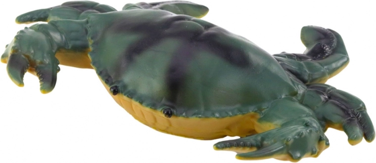 Realistic colors and a variety of sea animals