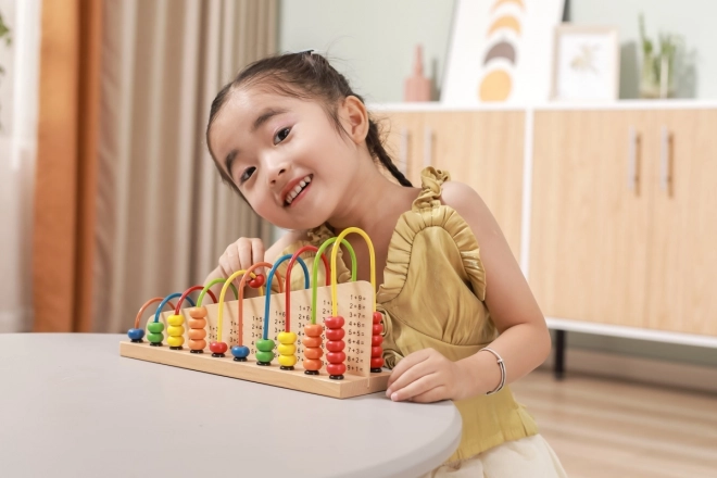 Wooden Counting Set