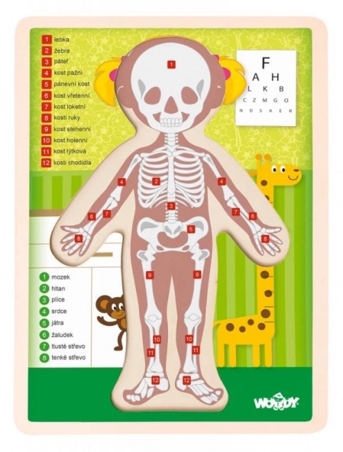 Woody Double-Sided Human Body Puzzle - Girl