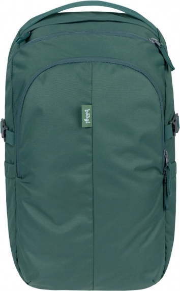 Baagl Dash Max Green Backpack