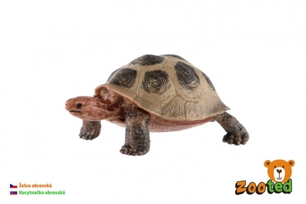 Large Seychelles Land Tortoise Toy, 8cm