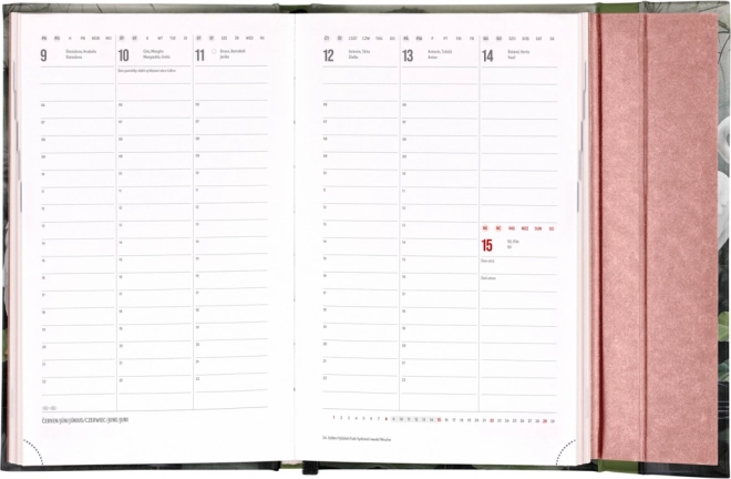 Weekly Magnetic Planner Birds 2025