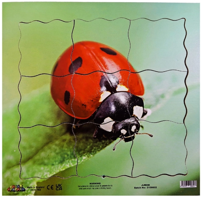 Wooden Layered Puzzle Ladybug Life Cycle