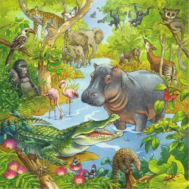 Jungle Animals Puzzle Set