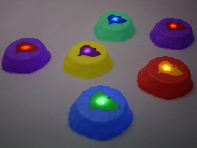 Sentier sensoriel lumineux - pierres pour l'entraînement à l'équilibre