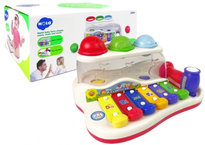 Educational Xylophone with Hammer and Colorful Balls