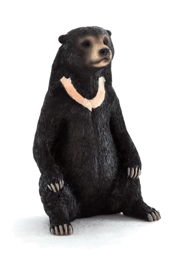 Realistic Malayan Sun Bear Figure