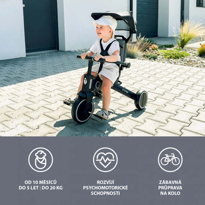 X Trike Multifunctional Tricycle