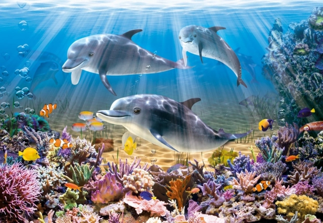 Dolphins Underwater Puzzle