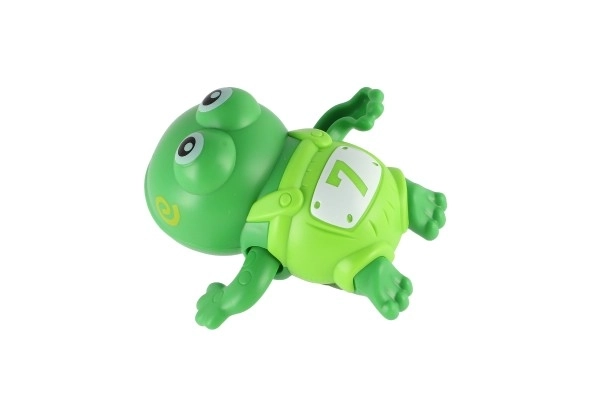 Pull-String Frog Bath Toy