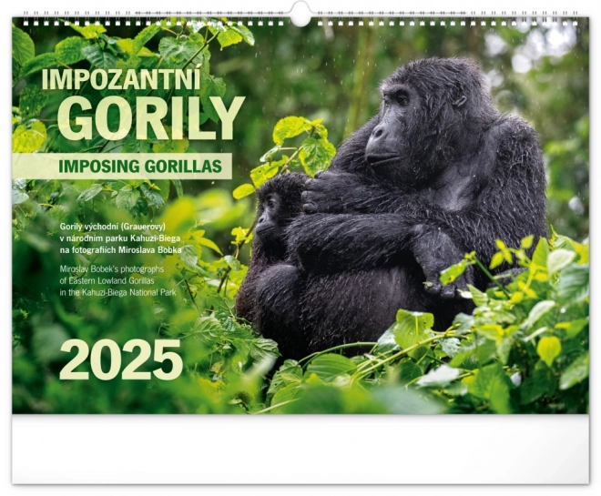 Wall Calendar Majestic Gorillas 2025