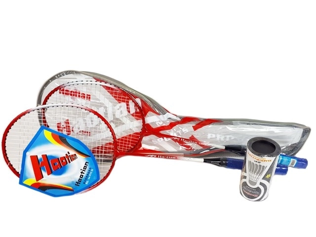 Badminton Set with Shuttlecocks in a Case