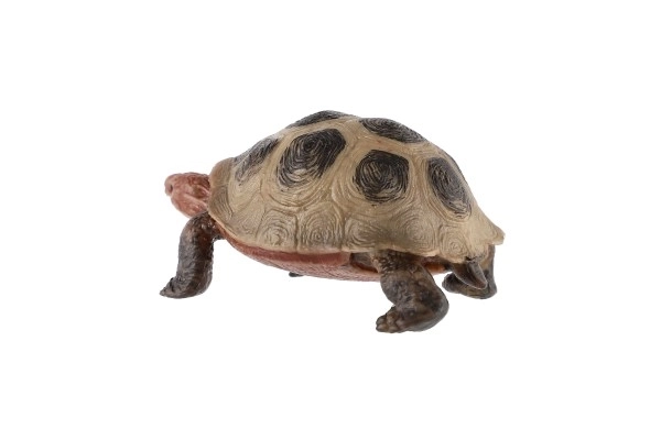 Large Seychelles Land Tortoise Toy, 8cm