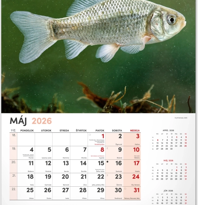 Wall Calendar Fishing 2026