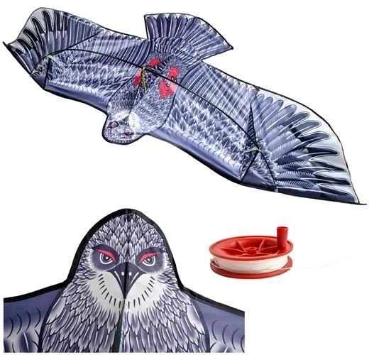 Eagle Kite