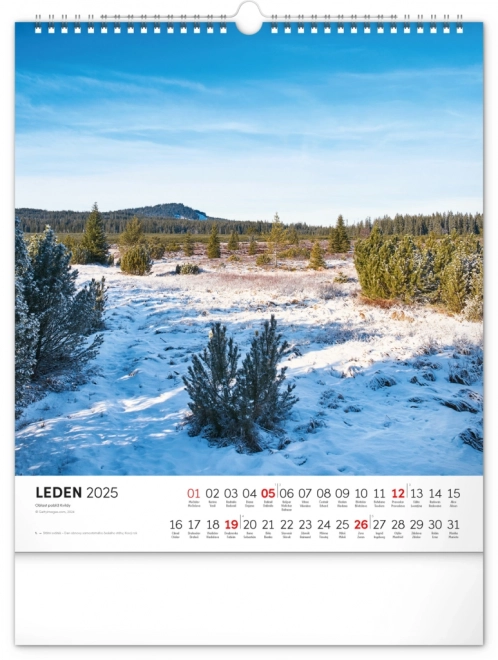 Wall Calendar Bohemian Forest 2025