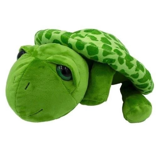 Plush Turtle Albert 25 cm