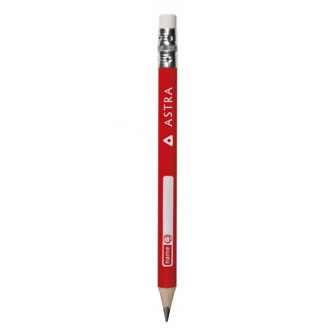 Astra Jumbo Writing Training Pencil Set