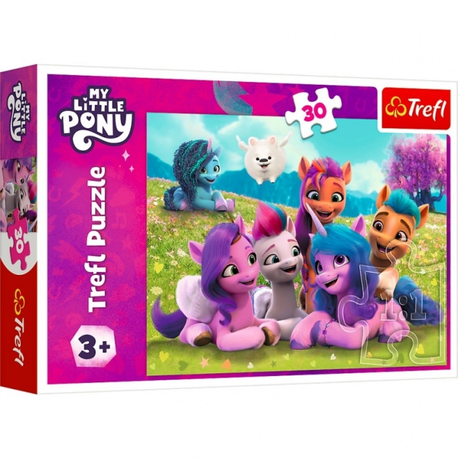 Friendly Ponies My Little Pony Puzzle