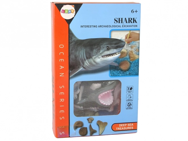 Educational Fossil Digging Set Shark Ammonites