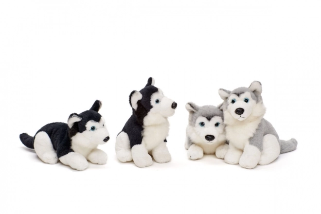 Plush Husky Toy