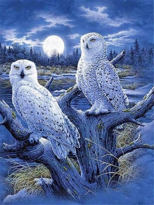 Snowy Owl Diamond Painting Kit