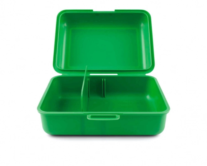 Dinosaur Lunch Box By Baagl
