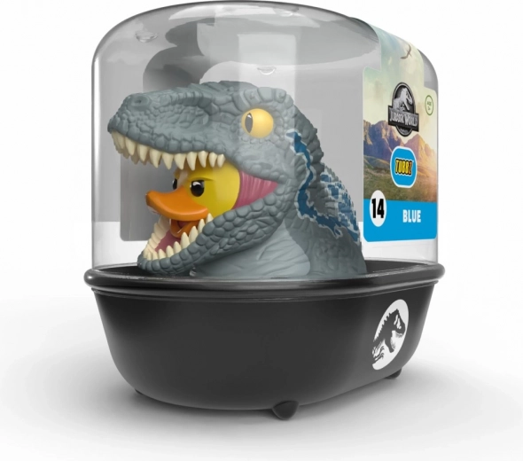 Limited first edition in a premium box