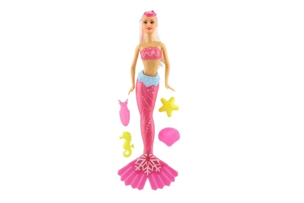 Mermaid Doll with Accessories