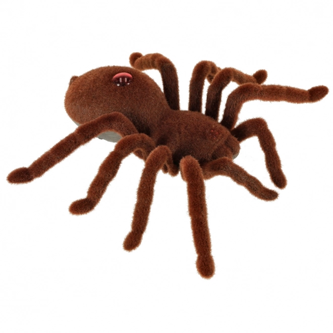 Remote Control Tarantula Spider Robot