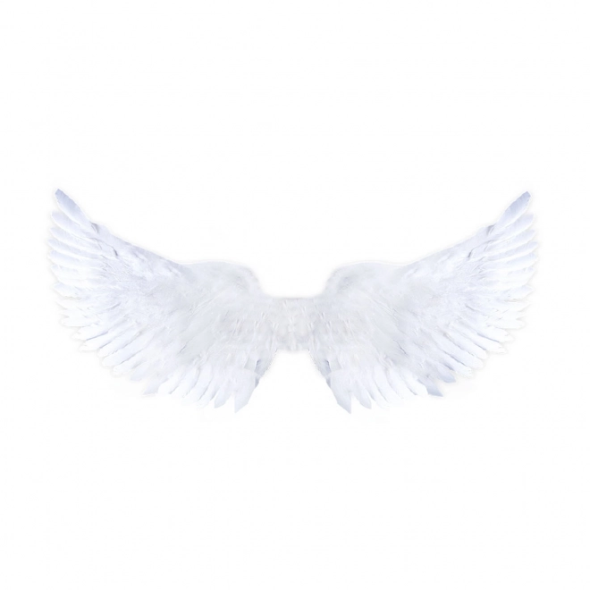 Angel Wings with Glitter