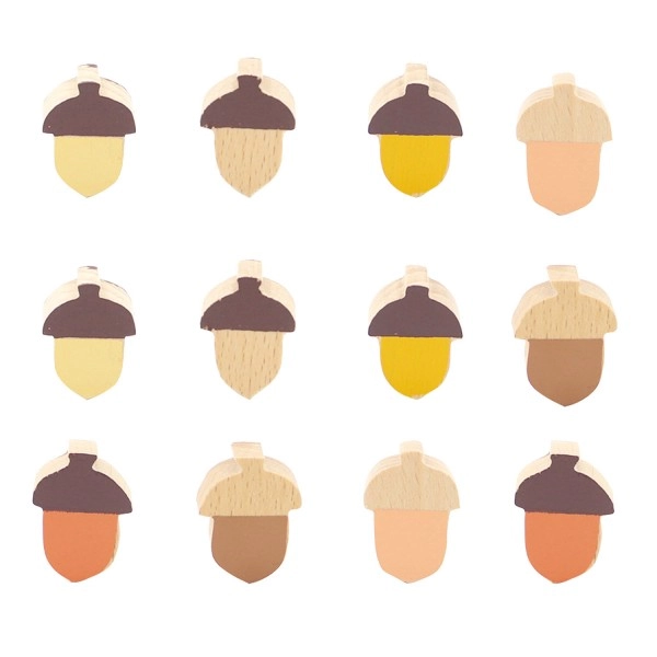 Set of 12 colorful acorns