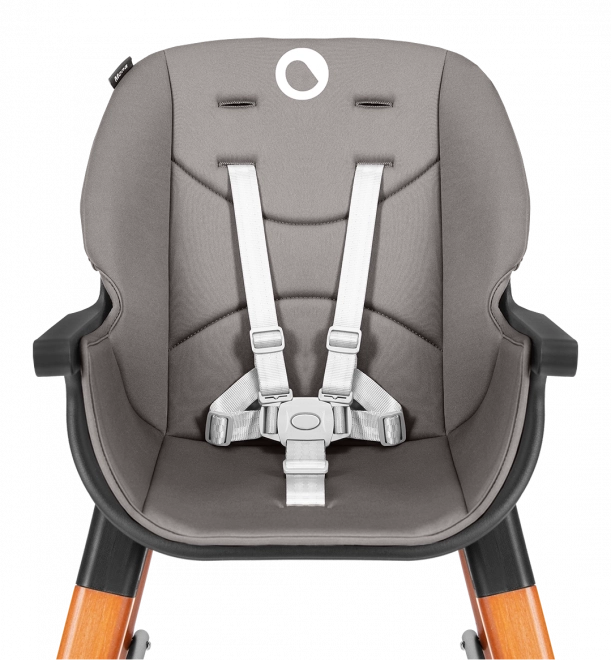 Lionelo 4-in-1 Feeding Chair Mona Black Onyx