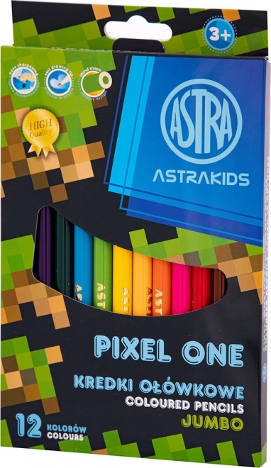 Astra Jumbo Pastel Crayons Set