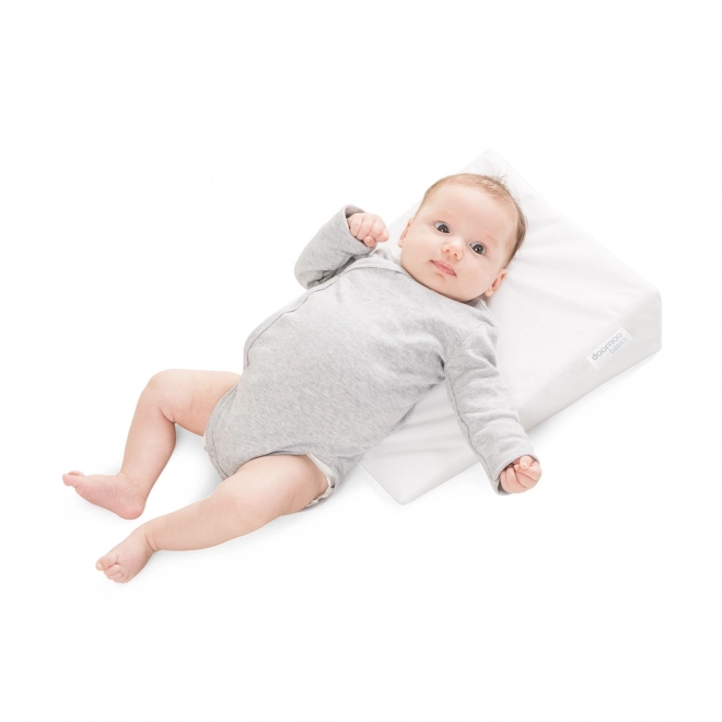 Rest Easy Baby Incline Sleeper Cushion