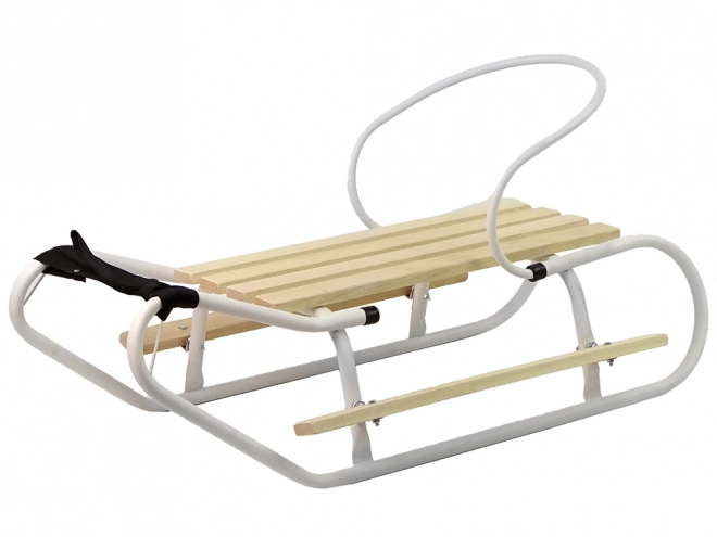 Metal Sled with Backrest and Strap