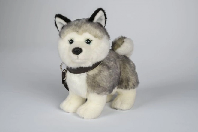 Stuffed Husky with Leash