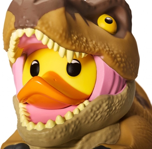 Emballage cadeau élégant avec fenêtre