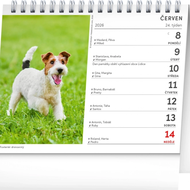 Desktop Calendar Dogs with Dog Names 2026