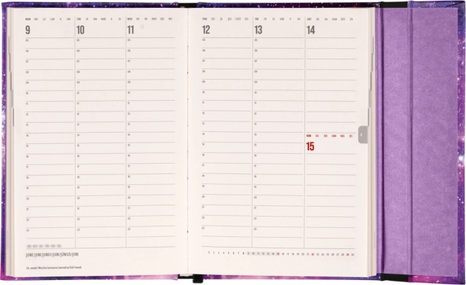 Weekly Magnetic Planner Galaxy 2025