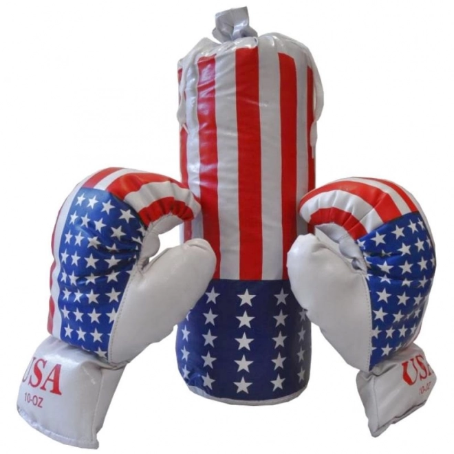 Punching Bag and Gloves