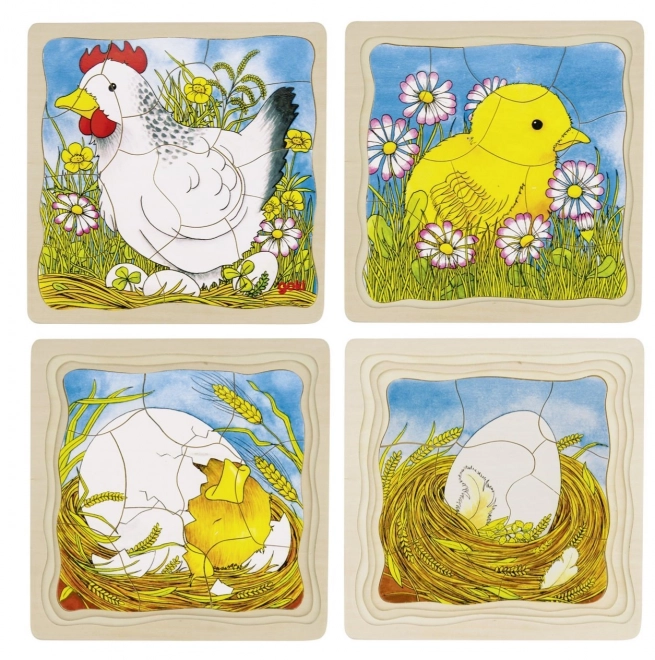 Layered Puzzle Birth Of The Chicken