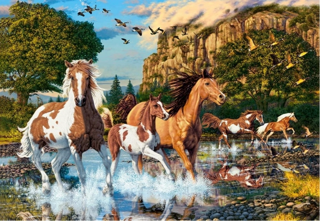 Horse Wonderland Puzzle 1000 Pieces