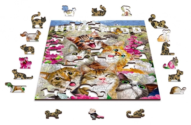 Wooden Puzzle Kittens in Hollywood