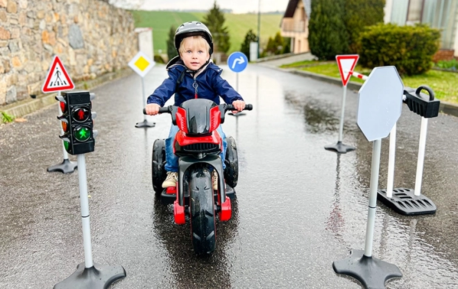 Traffic Signs Set for Kids