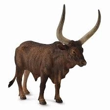 Collecta watusi bull figurine