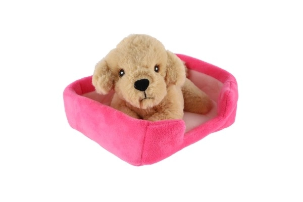 Plush Pet With Bed