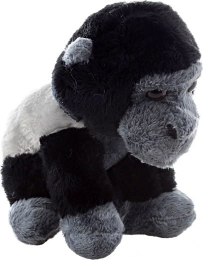 Naraven in realističen videz